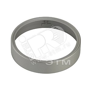Кольцо декоративное для SLEEK SPOT G12,серебр. - SLV