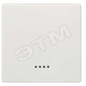 5TG7140-1 DELTA STYLE КЛАВИША С ОКНОМ ПЛАТИНОВЫЙ МЕТАЛЛИК - SIEMENS