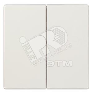 DELTA STYLE КЛАВИША ДВОЙНАЯ ПЛАТИНОВЫЙ МЕТАЛЛИК (5TG7145-1) - SIEMENS