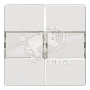 5TG6212 DELTA I-SYSTEM ТИТАНОВО-БЕЛЫЙ ВЫКЛЮЧАТЕЛЬ 2 КЛАВИШИ С ПОЛЕМ ДЛЯ НАДПИСИ 55X55MM