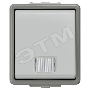 5TA4710 DELTA FLACHE ВЫКЛЮЧАТЕЛЬ 10А 250В НАВЕСНОГО МОНТАЖА IP44 С ЗАЩИТОЙ ОТ БРЫЗГ  1 КЛАВИША С КОН - SIEMENS