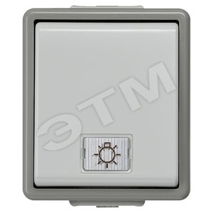 5TA4716 DELTA FLACHE ВЫКЛЮЧАТЕЛЬ 10А 250В НАВЕСНОГО МОНТАЖА IP44 С ЗАЩИТОЙ ОТ БРЫЗГ  С КОНТРОЛЬНОЙ Л - SIEMENS