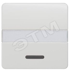 5TG7815 DELTA PROFIL ТИТАНОВО-БЕЛЫЙ  ВЫКЛЮЧАТЕЛЬ 1 КЛАВИША С ОКНОМ И ПОЛЕМ ДЛЯ НАДПИСИ