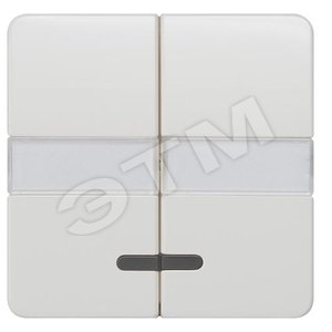 DELTA PROFIL ТИТАНОВО-БЕЛЫЙ  ВЫКЛЮЧАТЕЛЬ 2 КЛАВИШИ С ОКНОМ И ПОЛЕМ ДЛЯ НАДПИСИ