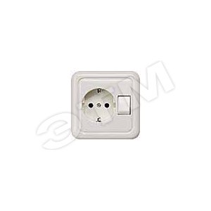 DELTA ТИНАТОВО-БЕЛЫЙ РОЗЕТКА SCHUKO 10A DC/16A AC 250В МОНТИРУЕМАЯ ПОД ШТУКАТУРКУ С ВЫКЛЮЧАТЕЛЕМ 80X80MM - SIEMENS