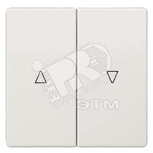 5TG7143-1 DELTA STYLE КЛАВИША ДВОЙНАЯ LE UP A. RI DOWN ПЛАТИНОВЫЙ МЕТАЛЛИК