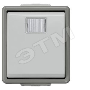 DELTA FLACHE Кнопка IP44 без индикации 10А 250V с окном наружный