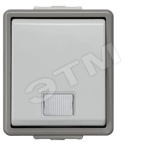 5TD4705 DELTA FLACHE IP44 КНОПКА С ЛАМПОЙ 10А 250V С 2 ОКНАМИ (БЕЛЫЙ,ПРОЗРАЧНЫЙ) НАВЕСНОГО МОНТАЖА - SIEMENS