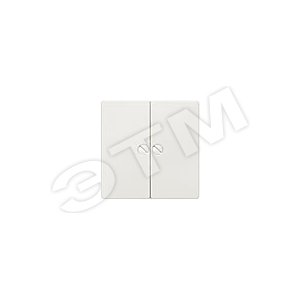 5TG6265 DELTA I-SYSTEM ТИТАНОВЫЙ МЕТАЛЛИК ВЫКЛЮЧАТЕЛЬ 2 КЛАВИШИ ФИКСИРОВАННЫЕ ВИНТАМИ 55X55MM