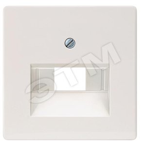 5TG1257 DELTA I-SYSTEM  АЛЮМИНЕВЫЙ МЕТАЛЛИК КРЫШКА СИСТЕМНОЙ РОЗЕТКИ CAT.3+5/ BTR CAT.6 55X55MM