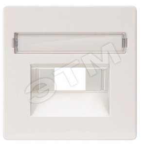 5TG1228 DELTA I-SYSTEM  ЧЕРНЫЙ МЕТАЛЛИК КРЫШКА СИСТЕМНОЙ РОЗЕТКИ CAT.3+5/ BTR CAT.6 55X55MM С ПОЛЕМ