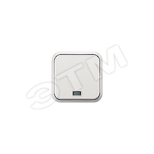 DELTA AREA 20 КНОПОЧНЫЙ ВЫКЛЮЧАТЕЛЬ С ОКОШКОМ ДЛЯ ОТКРЫТОЙ ПРОВОДКИ IP20, ТИТАНОВОБЕЛЫЙ ГАБАРИТНЫЕ РАЗМЕРЫ 65X65X32MM (5TD3251) - SIEMENS