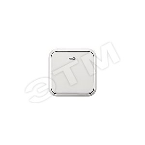 DELTA AREA 20 КНОПОЧНЫЙ ВЫКЛЮЧАТЕЛЬ С СИМВОЛОМ   КЛЮЧ   ДЛЯ ОТКРЫТОЙ ПРОВОДКИ IP20, ТИТАНОВОБЕЛЫЙ ГАБАРИТНЫЕ РАЗМЕРЫ 65X65X32MM - SIEMENS
