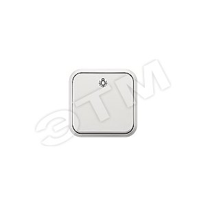 DELTA AREA 20 КНОПОЧНЫЙ ВЫКЛЮЧАТЕЛЬ С СИМВОЛОМ   СВЕТ   ДЛЯ ОТКРЫТОЙ ПРОВОДКИ IP20, ТИТАНОВОБЕЛЫЙ ГАБАРИТНЫЕ РАЗМЕРЫ 65X65X32MM - SIEMENS