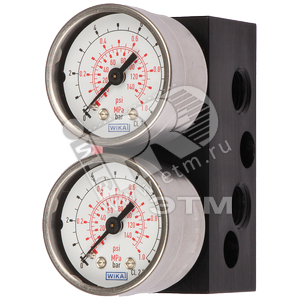 6DR4004-1P GAUGE MADE OF STEEL, ALUMINIUM BLOCK, SINGLE-ACTION G1/4, SCALED IN MPA, BAR AND PSI