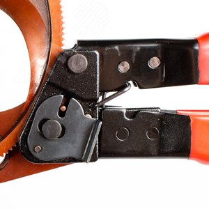 Ножницы секторные НС-53 серия ПРОФИ 6