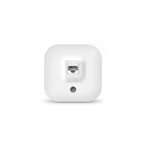 Розетка компьютерная одноместная серия IONICH, о/у, 1А, RJ45, белая (еврослот) - Универсал