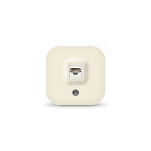 Розетка компьютерная одноместная серия IONICH, о/у, 1А, RJ45, слоновая кость (ivory) - Универсал