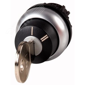 Переключатель с ключом, 2 положения, I II,  M22-WRS-X95 - EATON