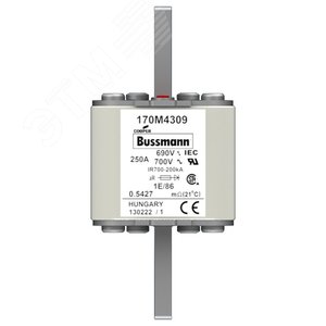 Быстрый предохранитель 250A 690V 1E/86 AR UC - EATON