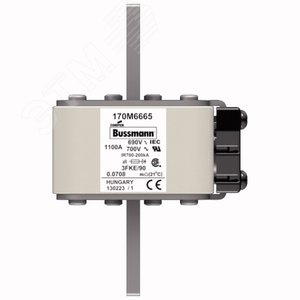 170M6665  Быстрый предохранитель 1100A 690V 3FKE/90 AR UC - EATON