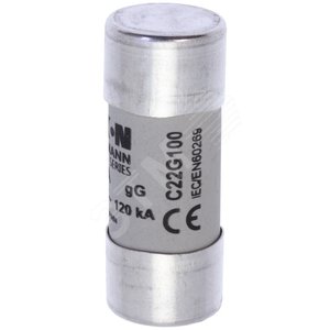 C22G100  Предохранитель цилиндрический, 22 x 58 100A GG 500V AC - EATON
