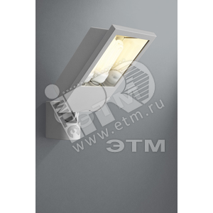 Светильник ФНУ-23Вт Alma Е27 сер. (175158781) - Philips