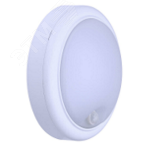 Светильник светодиодный LED ДПБ 19 Вт 1300 Лм 4000 К 220-240 В IP54 WL008C PHILIPS (911401719192)