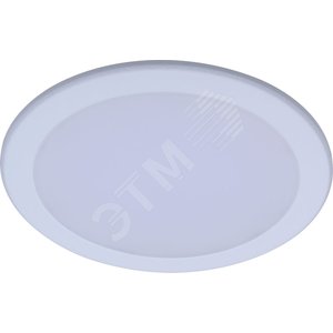 Светильник светодиодный ДВО-23Вт 4000К 2000Лм IP20 круг белый DN027B LED20/NW D200 RD (911401813397)