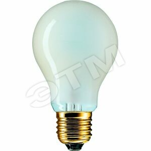 Лампа ReinfC 25W E27 230V A60 FR 1CT/20 (09029405) - Philips
