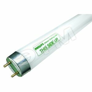 Лампа MASTER TL-D Reflex Eco 58W/865 (26033840) - Philips