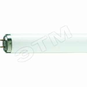 Лампа TL 40W/12 RS SLV/25 (62886240) - Philips