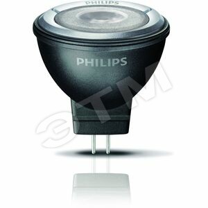 MASTER LEDspot Лампа светодиодная LED 3Вт MR11 12в GU4 24град. холодный белый (90583000) - Philips