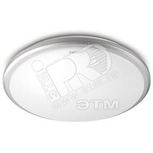 Светильник светодиодный ДБО-12W LED круглый 2700К 800Лм IP20 серебристый (318149966) - Philips
