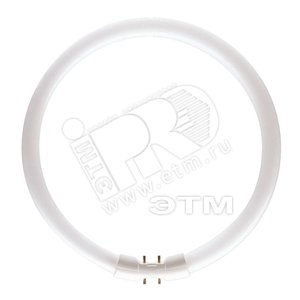 Лампа MASTER TL5 Circular 22W/830 1CT/10 (64095625) - Philips