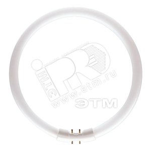 Лампа MASTER TL5 Circular 40W/830 1CT/10 (927965583013) - Philips