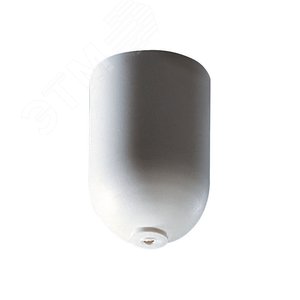 ZRS700 SMC BK SUSP CAP (SKB30-2) (910503910241) - Philips