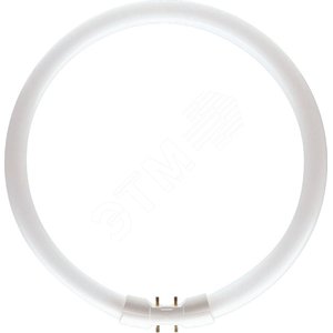 Лампа MASTER TL5 Circular 60W/830 1CT/10 (927966083013) - Philips