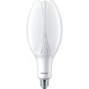 Лампа TForce Core LED PT 30-27W E27 830 FR (929001925338)