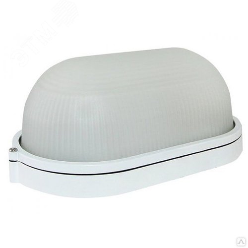 Светильник НПП 03-60-1401 Овал Мат