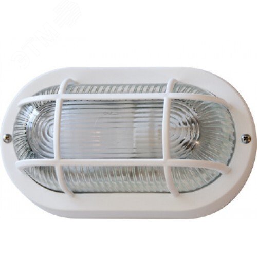 Светильник НПП 03-100-1202 Овал Решетка