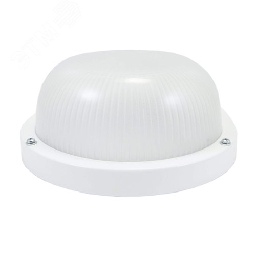 Светильник НПП 03-60-1301 Круг Мат