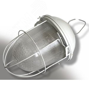 Светильник НСП-02(41)-200-003 с решеткой окрашенный IP54 - Владасвет