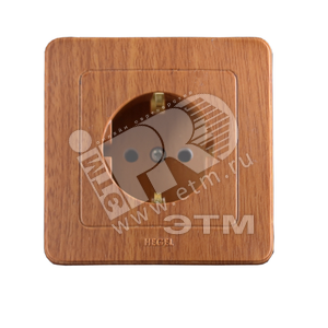 Розетка скрытая с заземлением дуб