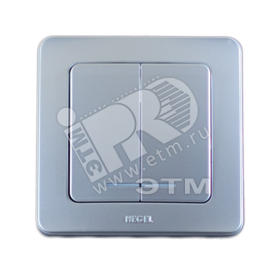 Выключатель двухклавишный скрытый с индикацией серебро 16А