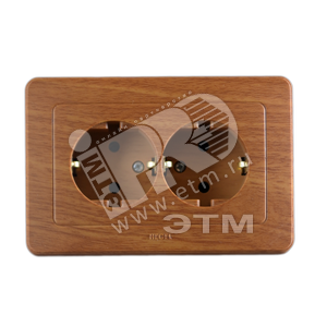 Розетка двойная скрытая с заземлением дуб