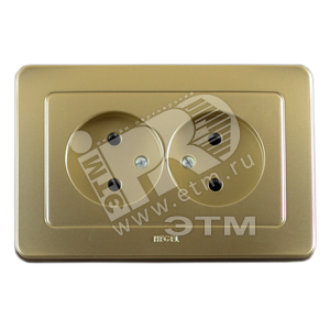 Розетка двойная скрытая со шторками золото
