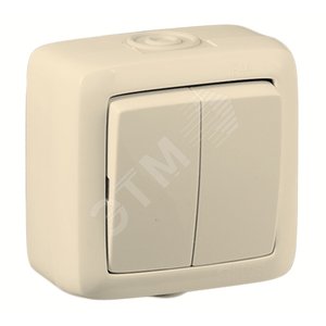 Выключатель двухклавишный наружный слоновая кость IP44 10А - HEGEL