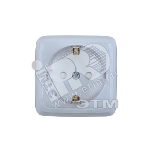 Розетка наружная с заземлением с монтажной пластиной со шторками (стакан) белая