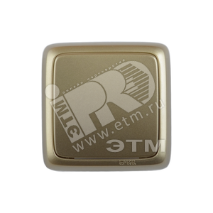 Переключатель одноклавишный наружный с монтажной пластиной с индикацией золото 10А (ВА10-166-07)